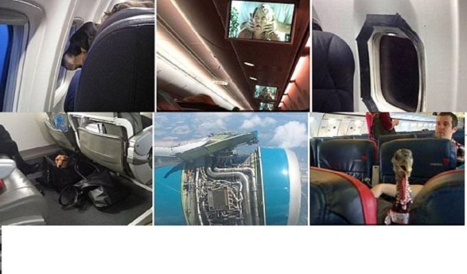 Самые безумные фотографии, сделанные пассажирами в самолетах (12 фото)