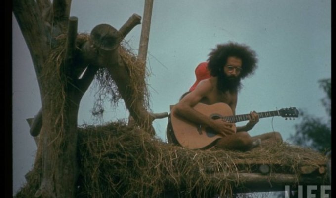 Woodstock 1969 (52 фотографии)
