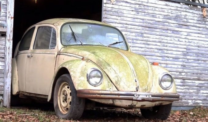 Volkswagen Beetle смогли завести после 20-летнего простоя за несколько часов (1 фото + 1 видео)