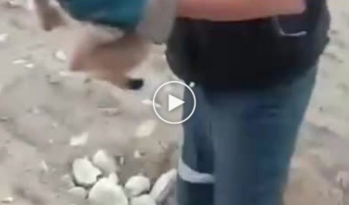 В Мурманской области рабочие поймали маленького рысенка