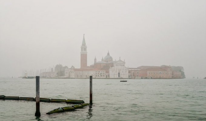 Есть запрещено! Что еще нельзя делать в Венеции? (14 фото)