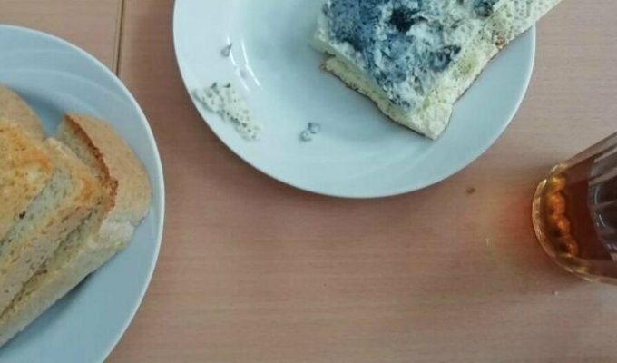 Омских школьников кормят синим омлетом (5 фото)