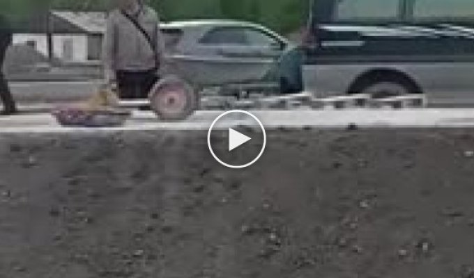 Семья южносахалинцев ворует втихую тротуарную плитку, пока рабочие на обеде