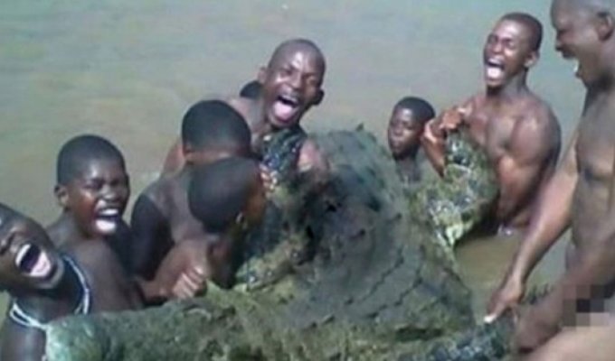 В ЮАР три брата погибли при попытке изнасиловать крокодила (2 фото)