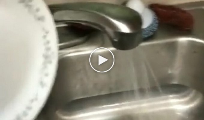 Это видео идеально демонстрирует, как выглядит мытье посуды, если вы живете с соседями по комнате  , посуда, прикол