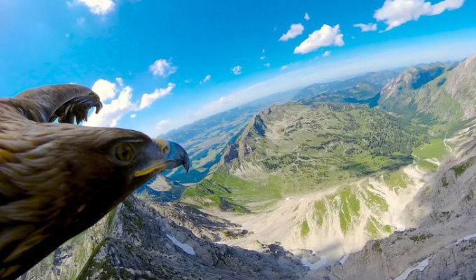 Альпы глазами орла (2 фото + 1 видео)
