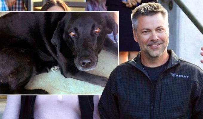 Собака спасла обвиненного в сексуальном домогательстве мужчину от 50 лет тюрьмы (5 фото)