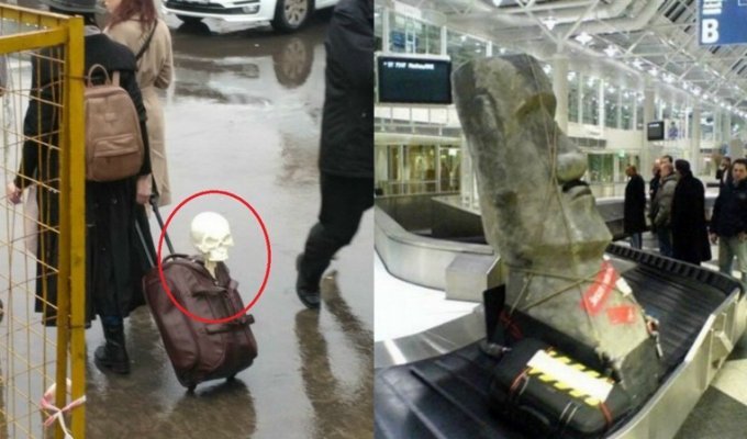 «К поездке готовы!» - фото пассажиров с их удивительным багажом (18 фото)
