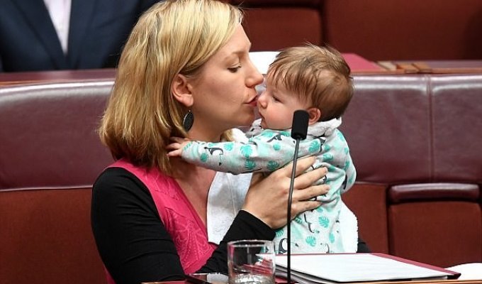 Сенатор покормила ребёнка грудью во время заседания парламента (5 фото)
