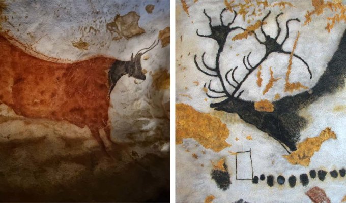 Пещера Ласко: Сикстинская капелла первобытной живописи (10 фото)