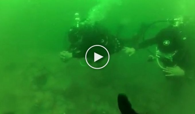 Паническая атака у дайвера на глубине 15 метров  