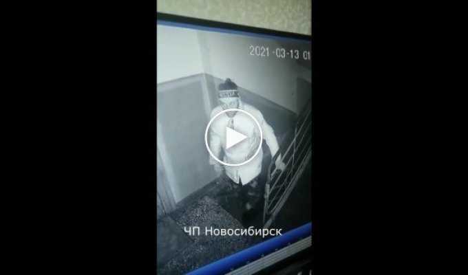 В Новосибирске тевтонец занимается кражей лампочек в подъезде