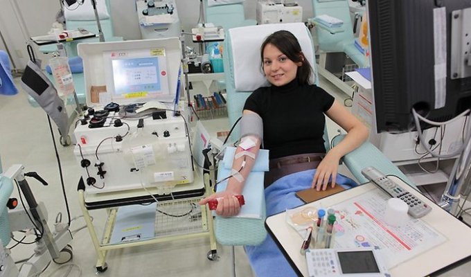 Донорство крови в Японии глазами иностранца (11 фото)