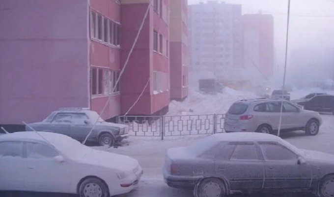 Для чего сибирские водители тянут к машинам провода из квартир (6 фото)