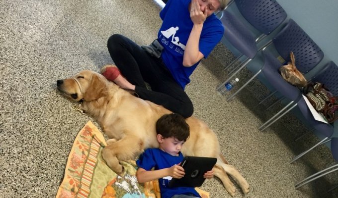 Пятилетний сын, страдающий аутизмом, впервые встретил свою новую собаку