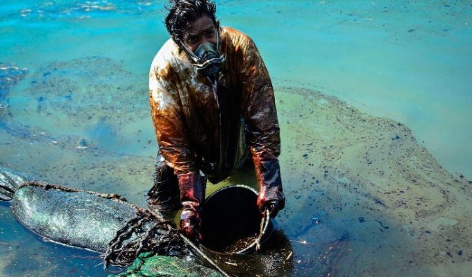 Как собирали нефть у Маврикия (12 фото)