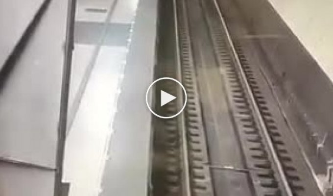 В московском метро женщина засмотрелась в телефон и упала на рельсы