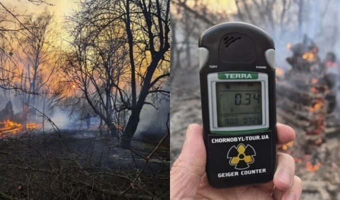 В зоне отчуждения в Чернобыле тушат сильный пожар - радиационный фон превышает норму (5 фото + 2 видео)