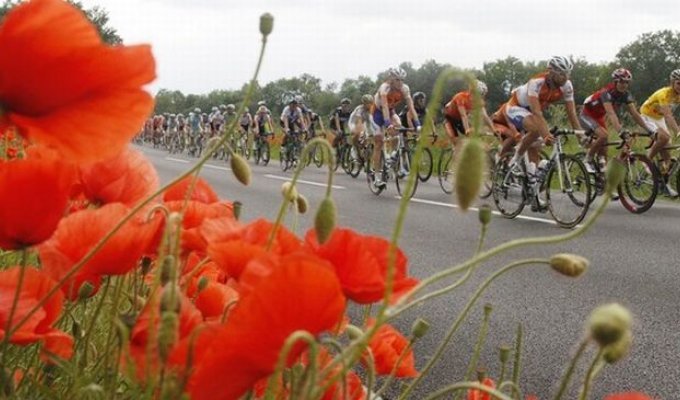 Массовое столкновение во время 4го этапа Тур де Свисс (10 фото)