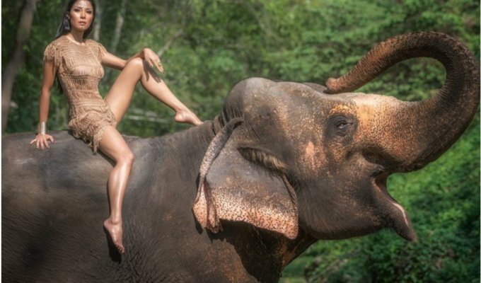 Слон — очень аккуратный зверь, ты слухам про него не верь (24 фото)