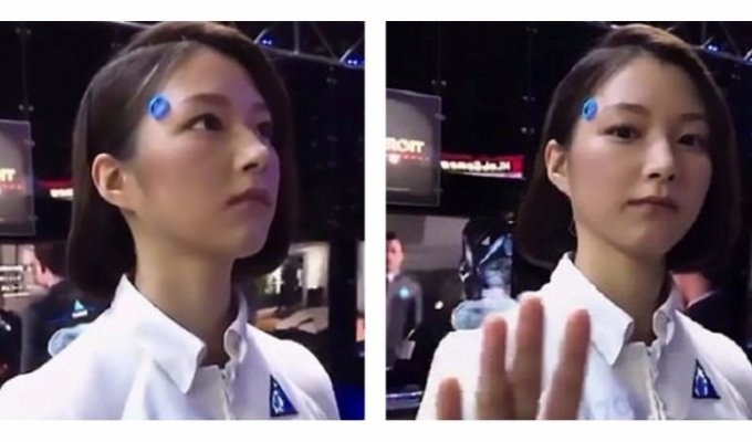 Японцы создали женщину-андроида (1 фото + 1 видео)