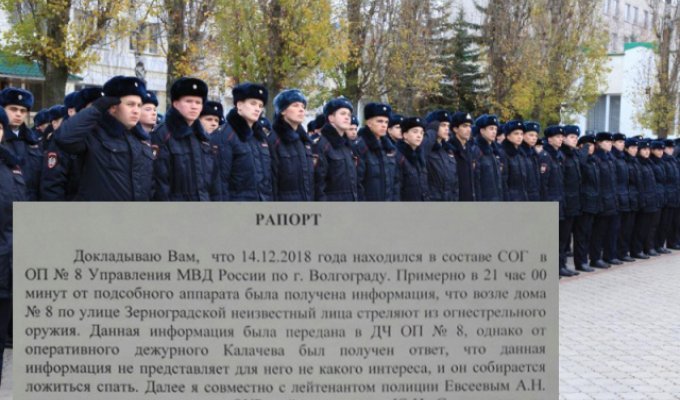 Волгоградский лейтенант предложил называть сотрудников дежурной части "петушарами" (фото)