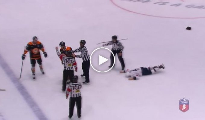 В хоккейном матче словацкой Экстралиги канадец отправил соперника в нокаут одним ударом