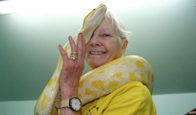 Бабуля потратила миллионы, чтобы стать королевой змей (7 фото + 1 видео)
