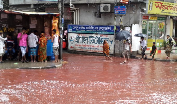 Столицу Бангладеш затопили реки крови (7 фото + 1 видео)