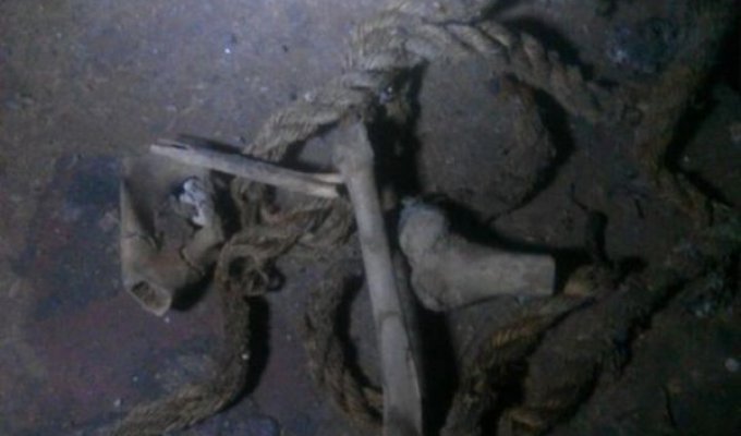 Исследование костей, найденных в подвале дома (4 фото)