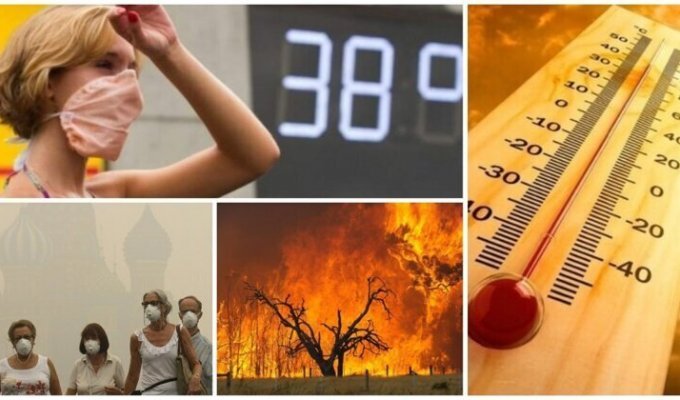 Потеют все: прогноз аномальной жары в России (17 фото)