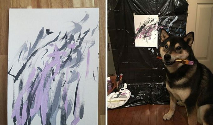 Собака рисует картины, которые пользуются большой популярностью! (7 фото + 1 видео)