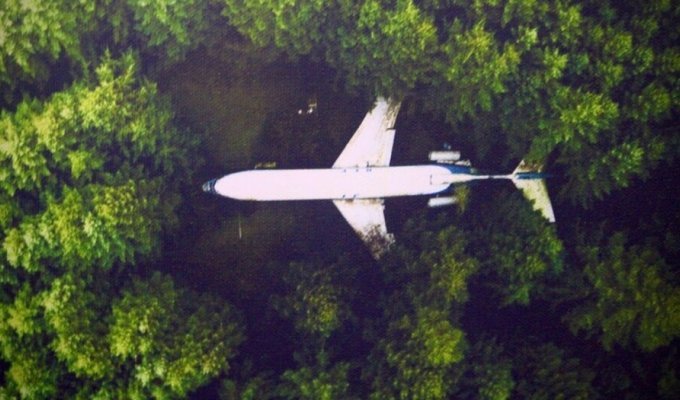 Брюс Кэмпбелл — человек, который живёт в самолёте посреди леса (19 фото + 2 видео)