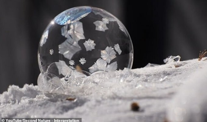 Вот что происходит с мыльными пузырями на морозе! (3 фото + 1 видео)