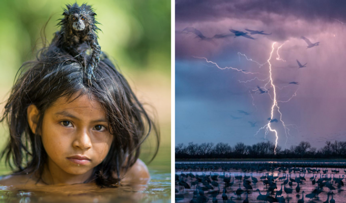 50 лучших снимков года по версии журнала National Geographic (51 фото)