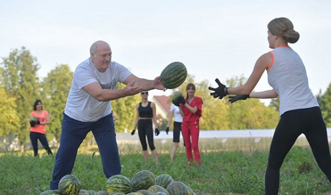 День рождения Александра Лукашенко: спорт, девушки и арбузы (5 фото + видео)
