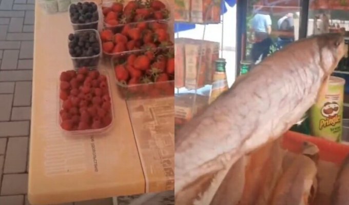 "Вот эта малина - тысячу?": турист в Сочи изумился местным ценам (6 фото + 1 видео)
