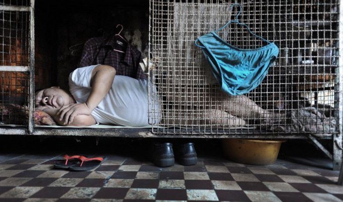 Жизнь в “собачьих клетках” в Гонконге (14 фото)