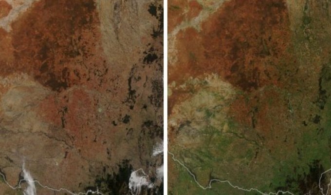 Фотографии со спутников от НАСА: какие изменения происходят на поверхности Земли (15 фото)