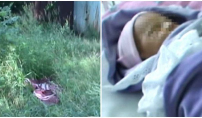 Мамаша оставила ребёнка в траве. Когда женщина развернула сверток, то прочла ужасающую записку… (5 фото)