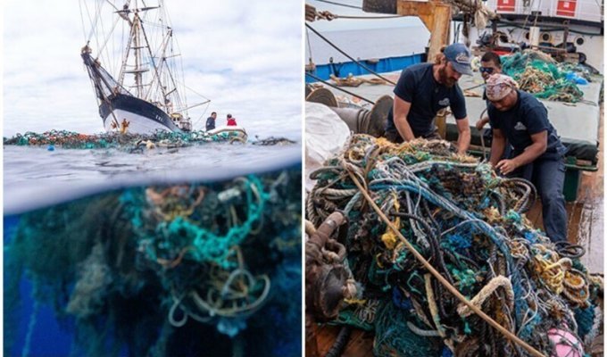 Экспедиторы выловили из океана рекордное количество мусора (16 фото)
