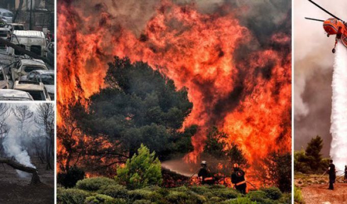 Пожары бушуют в Греции: 74 погибших и 150 раненых (36 фото)