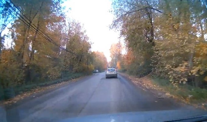 Новая автоподстава на дорогах Подмосковья (2 видео)