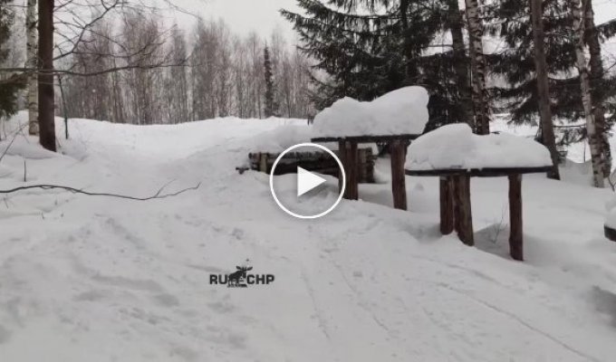Удачный лыжный трюк
