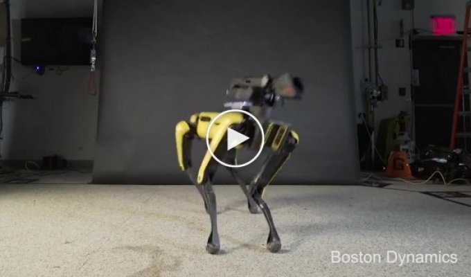 Boston Dynamics научили робота-собаку Spot танцевать под музыку