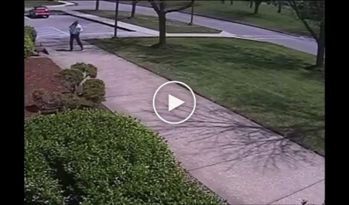 Нападение гуся на американского полицейского попало на видео