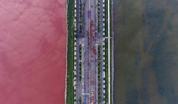 Соленое озеро Яньху в Китае стало двухцветным (3 фото)