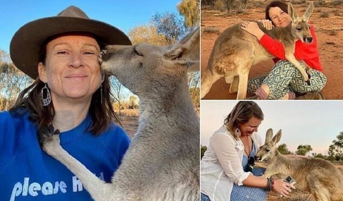 Благодарная кенгуру каждый день обнимает людей, которые ее спасли (6 фото + 1 видео)