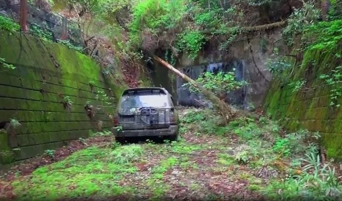 Печальное зрелище: брошенный в лесу Land Cruiser весь порос мхом (9 фото + 1 видео)