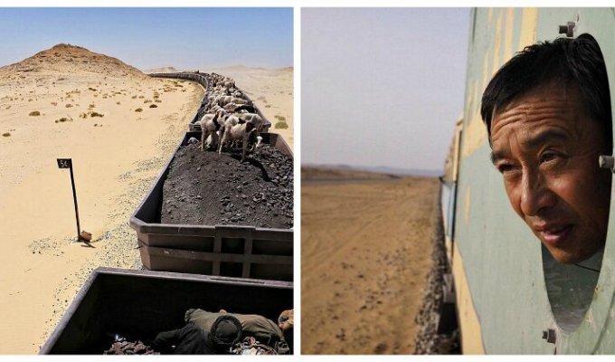 Через Сахару к океану в товарняке: экстремальная поездка в самом длинном в мире поезде (14 фото + 1 видео)